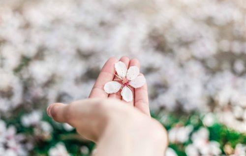 Tử vi thứ Năm ngày 1/3/2018 của 12 con giáp-3