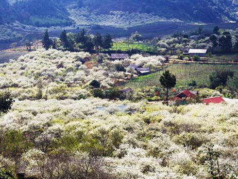 Nơi vui chơi của sao Việt trong tháng 2-14