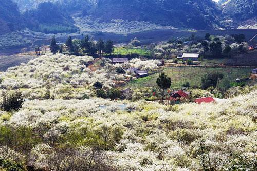 Những điểm đến đẹp như mơ không thể bỏ qua trong tháng 3-1