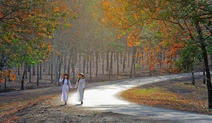 Những điểm đến đẹp như mơ không thể bỏ qua trong tháng 3-6