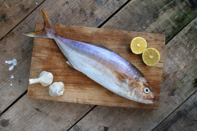 Bởi vì bạn còn mắc những lỗi sau nên món cá bạn nấu mãi vẫn chưa thơm ngon-3