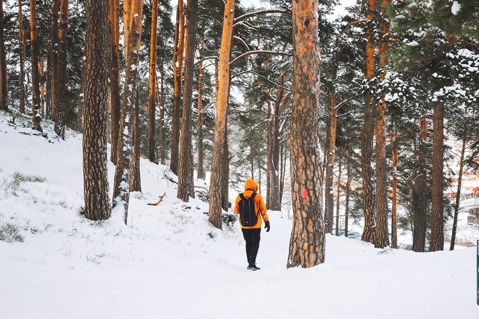 Mùa xuân trên quê hương của những ông già Noel-8