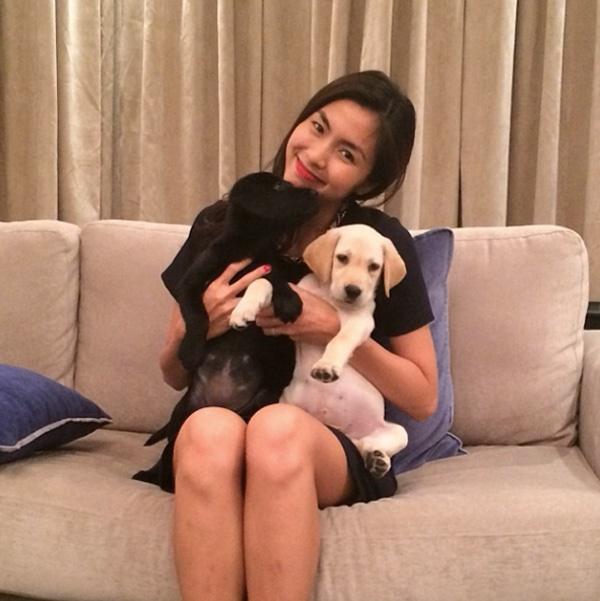 Điểm danh hàng loạt người bạn 4 chân của các mỹ nhân Việt-4