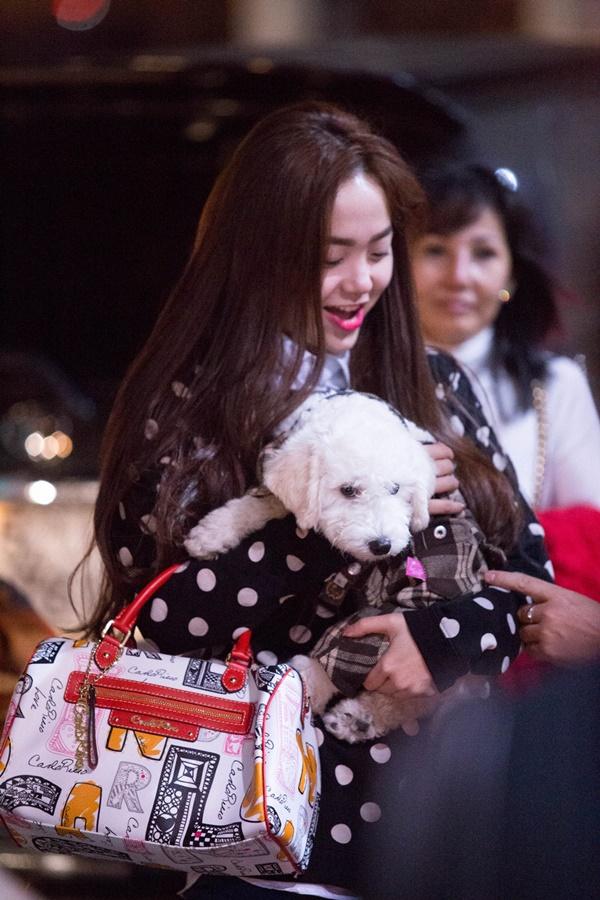 Điểm danh hàng loạt người bạn 4 chân của các mỹ nhân Việt-6
