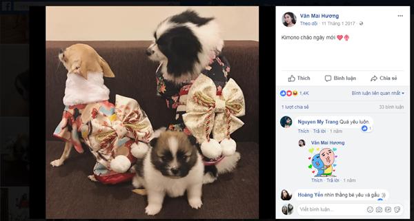 Điểm danh hàng loạt người bạn 4 chân của các mỹ nhân Việt-11