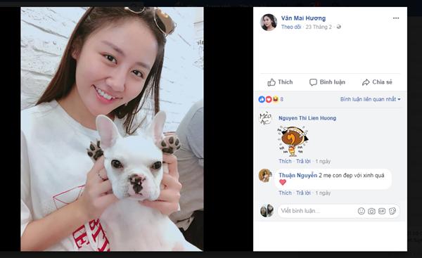 Điểm danh hàng loạt người bạn 4 chân của các mỹ nhân Việt-14