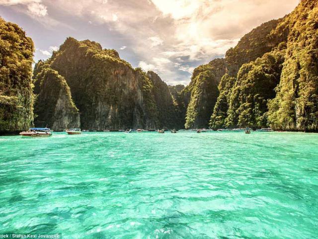 Nhật Bản sẽ đón mùa hoa anh đào sớm hơn năm ngoái-2