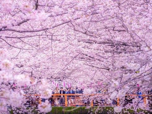 Những quy định khó hiểu ở các nước khiến du khách bối rối-6