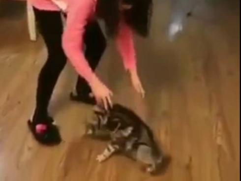 Boss quay cuồng với lũ sen 'mất nết'