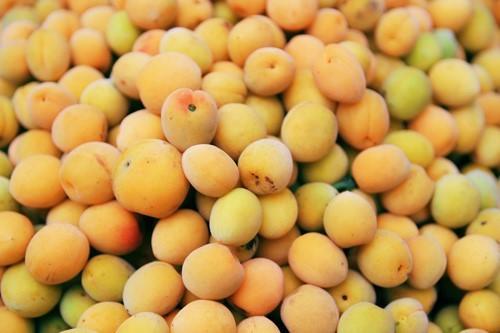 Đầu xuân trẩy hội chùa Hương, không nếm thử những món ngon này thì đúng là phí cả một chuyến đi-4