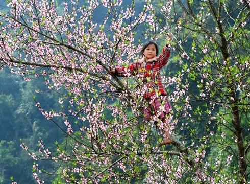 Dự báo thời tiết 5/3: Ngày mai miền Bắc chuyển mưa lạnh-2