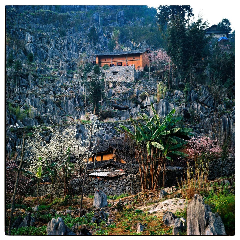 Bộ ảnh phim tuyệt đẹp về cao nguyên đá Hà Giang mùa xuân-1