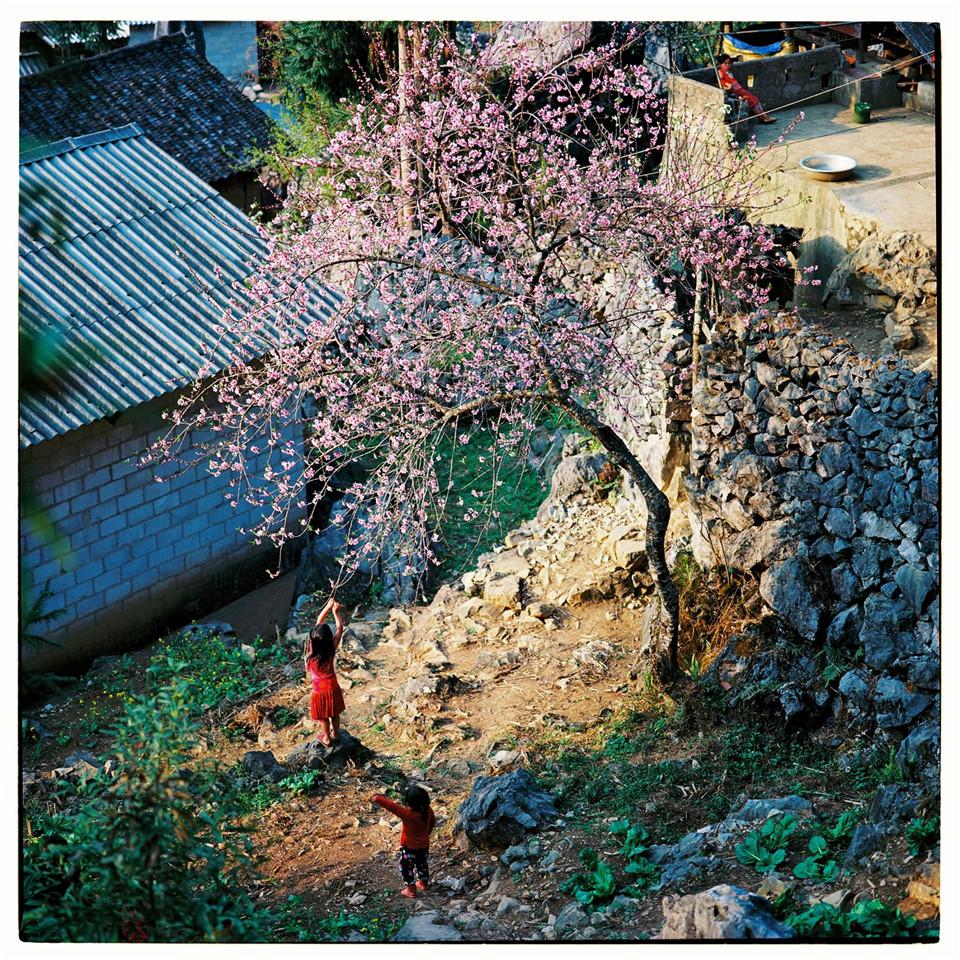 Bộ ảnh phim tuyệt đẹp về cao nguyên đá Hà Giang mùa xuân-2