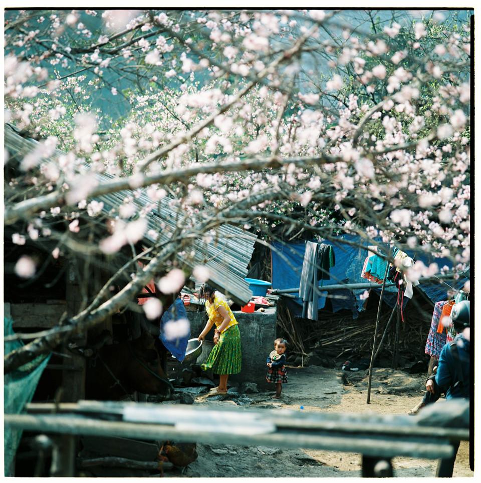 Bộ ảnh phim tuyệt đẹp về cao nguyên đá Hà Giang mùa xuân-5