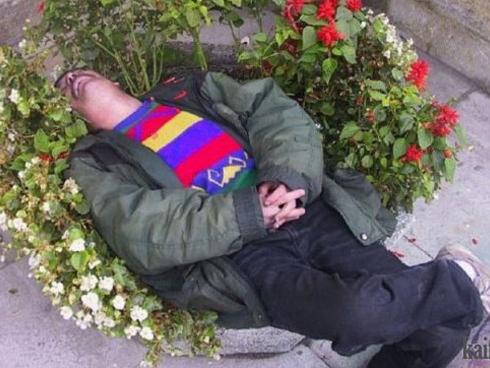 Chộp khoảnh khắc 'cười rơi răng' ngày cuối tuần