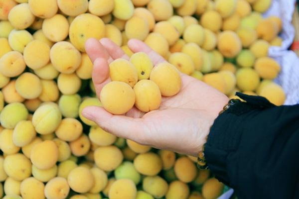 Những đặc sản làm say lòng du khách khi trẩy hội chùa Hương-2