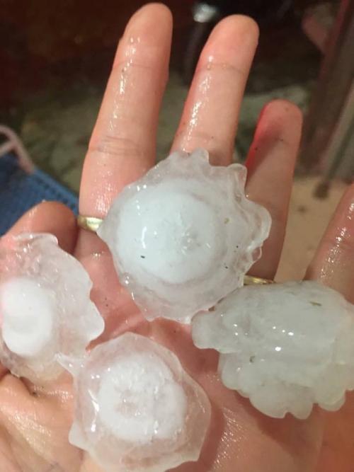 Xuất hiện mưa đá to bằng cổ tay ngay đầu xuân tại Lào Cai-3