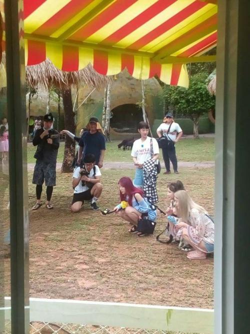 Dispatch đăng khoảnh khắc ‘dở khóc dở cười’ của LE (EXID): Bị khỉ ‘tấn công’ tại Phú Quốc-1