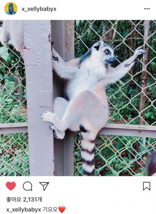 Dispatch đăng khoảnh khắc ‘dở khóc dở cười’ của LE (EXID): Bị khỉ ‘tấn công’ tại Phú Quốc-2