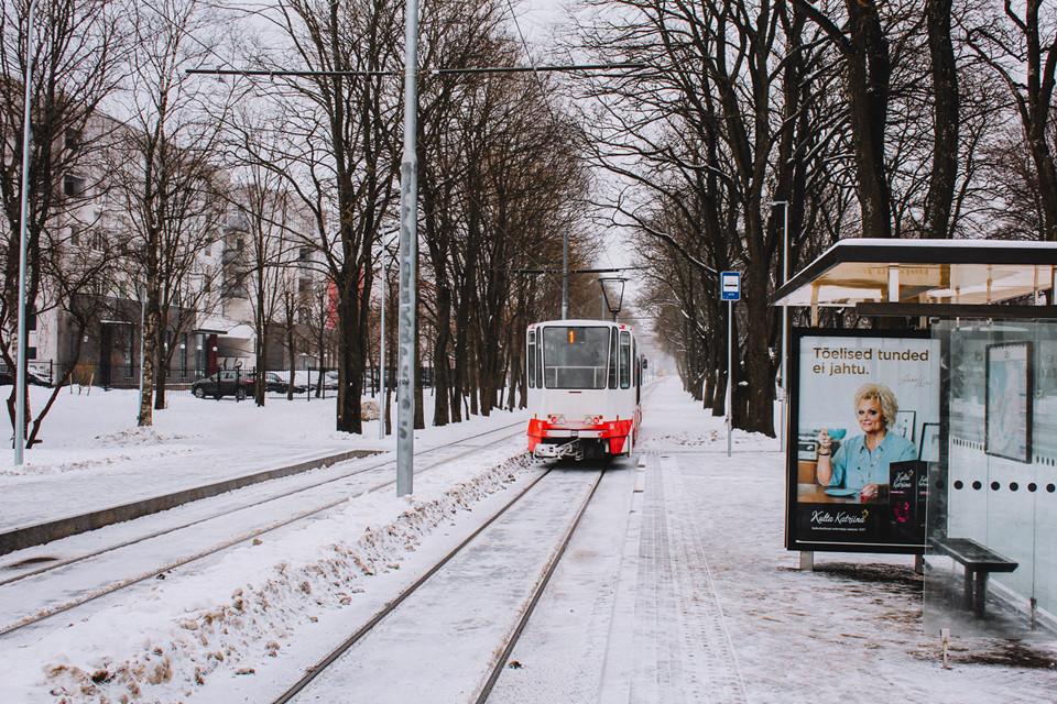 Thành phố cổ Tallinn, nơi bị thời gian quên lãng-5