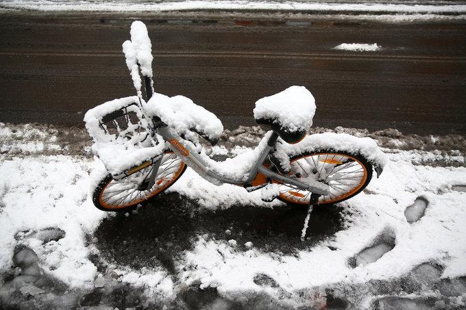 Cảnh tượng cổ tích xưa nay hiếm khi Rome chìm trong tuyết-5