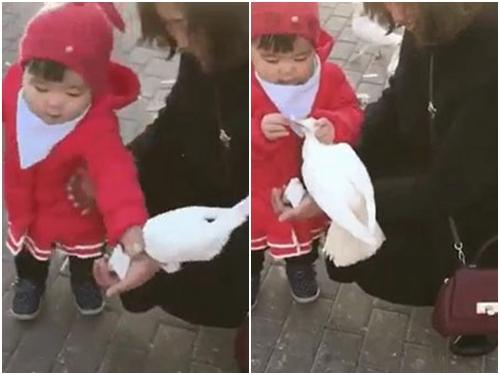 Vợ khóc nức nở vì đã ngủ vất vả mà chồng lại không cho đi chơi-1