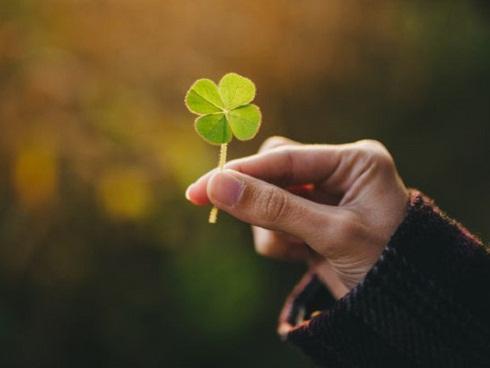 3 con giáp nữ không có gì ngoài quý nhân nhiều, tài vận nhiều, và đặc biệt có nhiều người theo đuổi-4