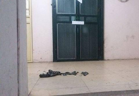 Sau khi nhét tỏi vào miệng cô gái trẻ, 2 thầy cúng đã được gọi đến trợ giúp Châu Việt Cường-1