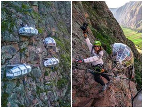 Những người khổng lồ bí ẩn trong rừng sâu-1