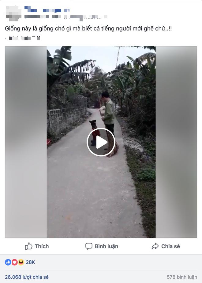 Con boss đáng yêu như hiểu tiếng người, sen sai gì làm nấy khiến dân mạng thích thú-2