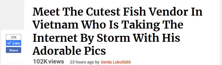 Chú mèo Việt gây bão mạng quốc tế bởi thần thái siêu ngầu-1