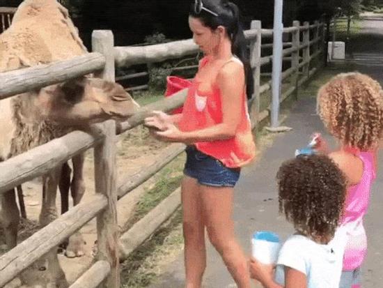 Bất ngờ bị động vật tấn công khi đang 'tự sướng'