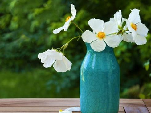 Tử vi thứ Năm ngày 8/3/2018 của 12 cung hoàng đạo