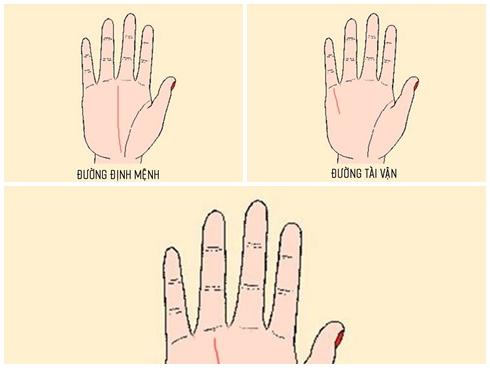 Xòe bàn tay xem bạn có sở hữu 3 đường chỉ tay đem lại cuộc sống thoải mái, không bao giờ phải lo lắng về tiền bạc hay không?