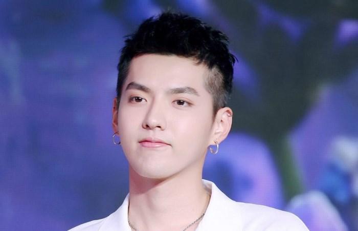 Ngô Diệc Phàm sẽ đóng vai của Lâm Chí Dĩnh trong Sợi dây chuyền định mệnh bản remake?-8