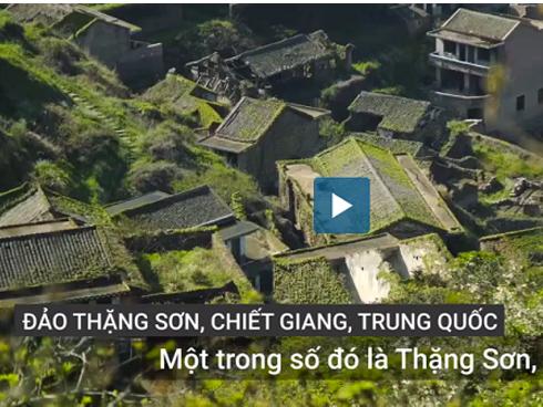 Ngôi làng bị dây leo ‘nuốt chửng’ trên đảo hoang
