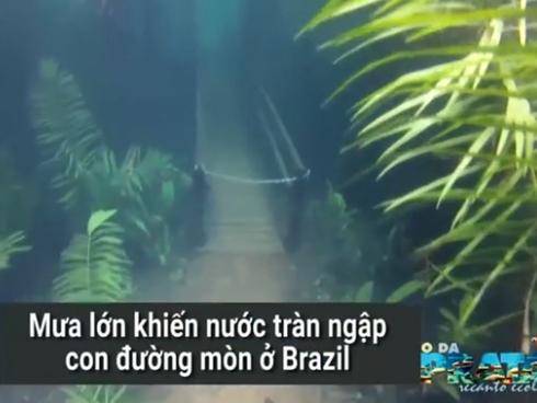 Đường mòn biến thành thiên đường dưới nước sau cơn mưa lớn