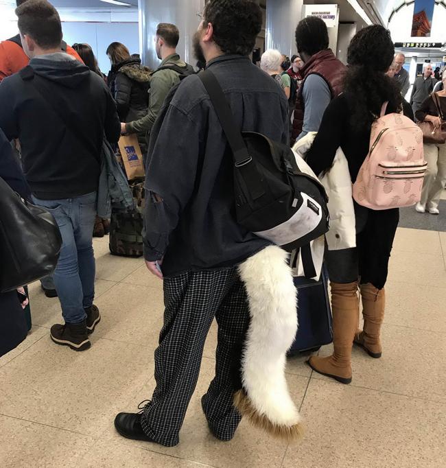 Bắt gặp hình ảnh hài hước khó đỡ ở khắp mọi nơi-2