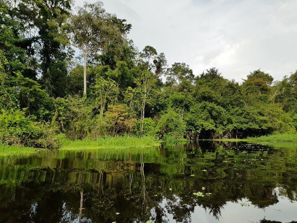 Chàng trai Việt đi vòng quanh thế giới đã tới rừng rậm Amazon-1
