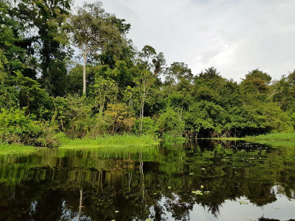 Chàng trai Việt đi vòng quanh thế giới đã tới rừng rậm Amazon-1