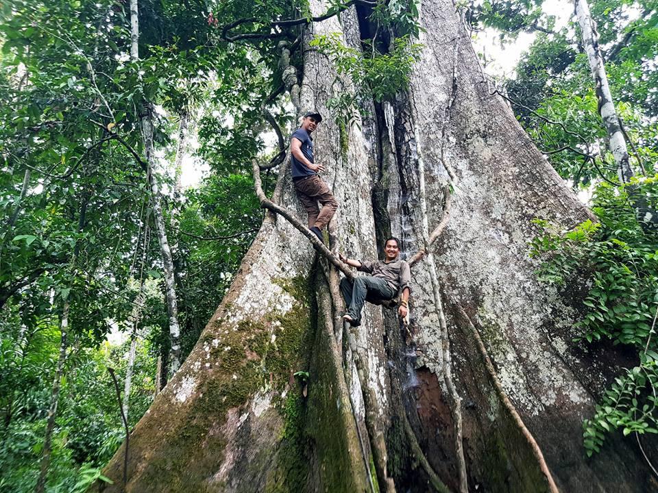Chàng trai Việt đi vòng quanh thế giới đã tới rừng rậm Amazon-3