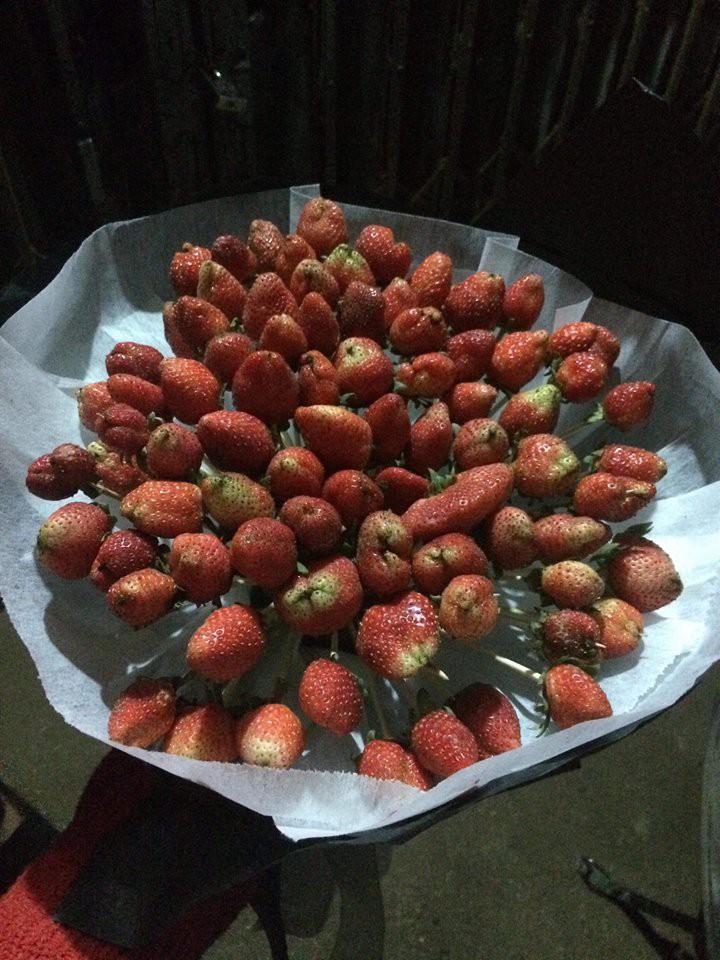 Những câu chuyện còn sót lại trong ngày 8/3 khiến hội chị em dở khóc dở cười-2