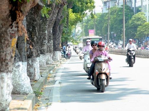 Dự báo thời tiết 10/3: Miền Bắc hanh khô như rang