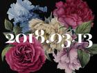 5 bông hoa 5 màu gây tò mò trên ảnh nhá hàng cho single chia tay fan của Big Bang