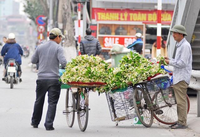 Nao lòng với một Hà Nội đẹp dịu dàng các mùa hoa tháng 3-4