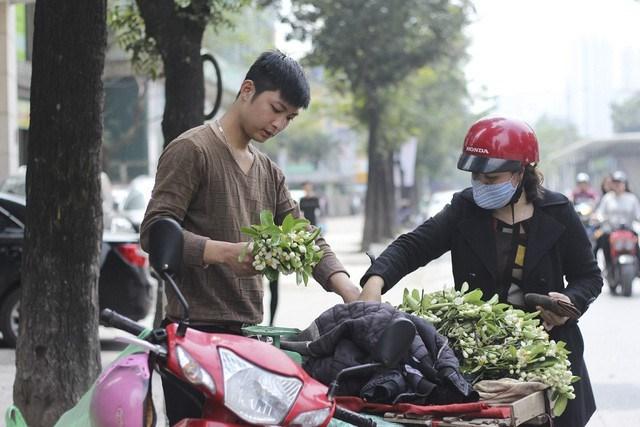 Nao lòng với một Hà Nội đẹp dịu dàng các mùa hoa tháng 3-7