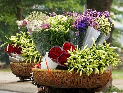 Nao lòng với một Hà Nội đẹp dịu dàng các mùa hoa tháng 3