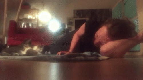 Những con mèo mang lá gan chuột nhắt-5