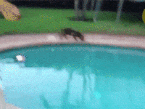 Vì sao uống bia là một điều tốt-2