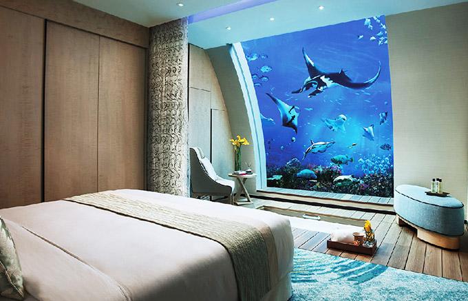 Khách sạn nơi bạn trải nghiệm ngủ dưới thuỷ cung ở Singapore-1